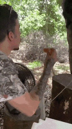 неожиданно