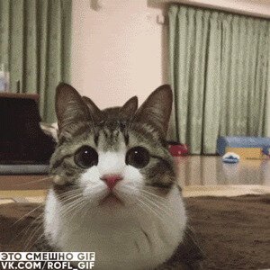 - Второй пилот, доложите обстановку