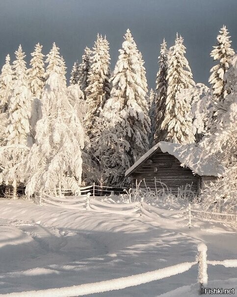 Жила зима в избушке