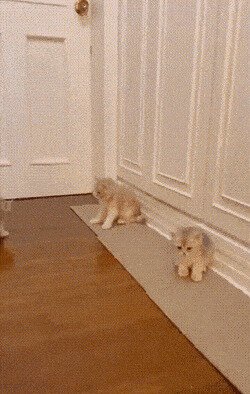 -чё, на раз, два, три