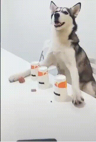 - К черту ваши игры