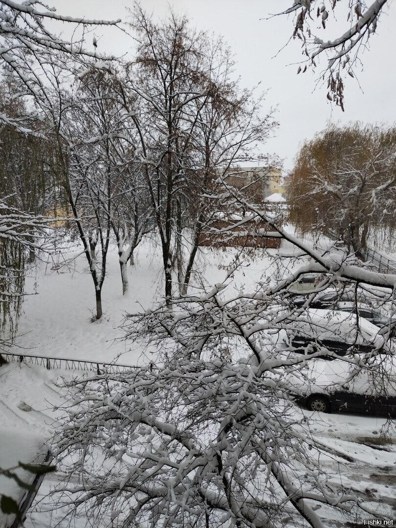 как всегда,внезапно