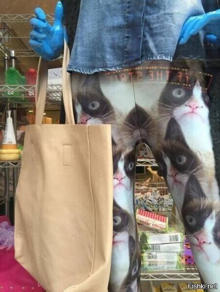 Обними кота