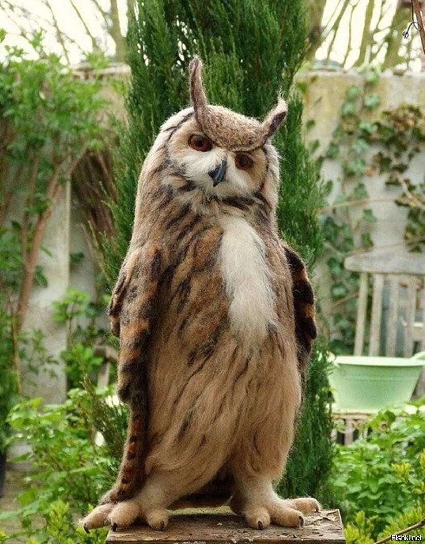 Зачем меня днём разбудили