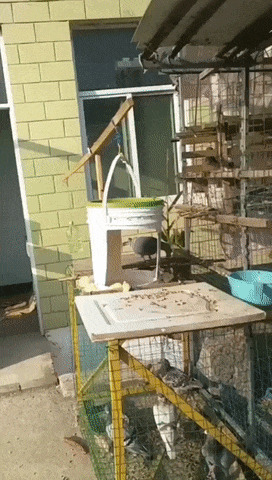 Вам доставка