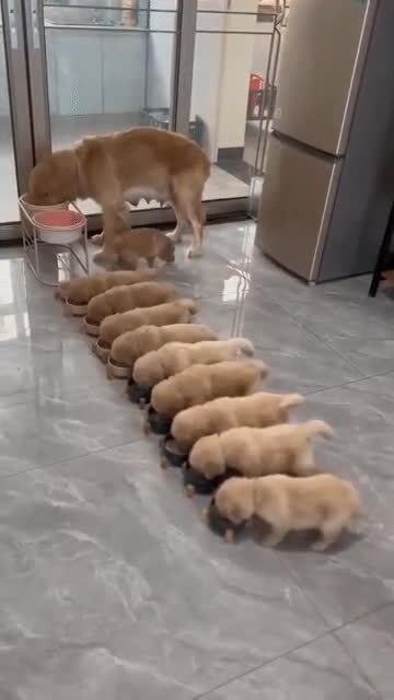 Время обедать