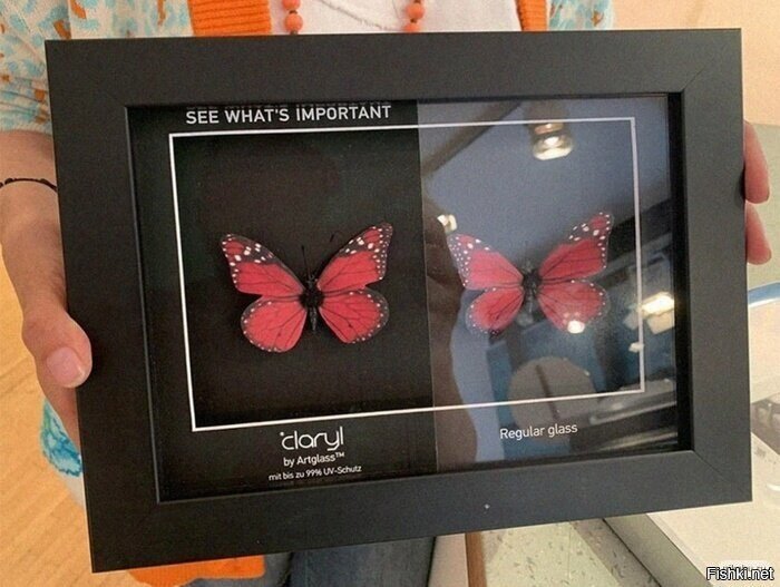 Перед вами наглядное отличие музейного стекла от обычного⁠⁠