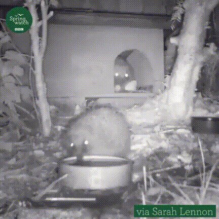 -ещё глоточек и спать