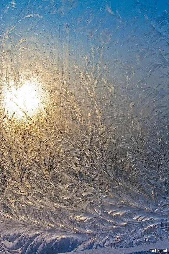 Доброе утро)