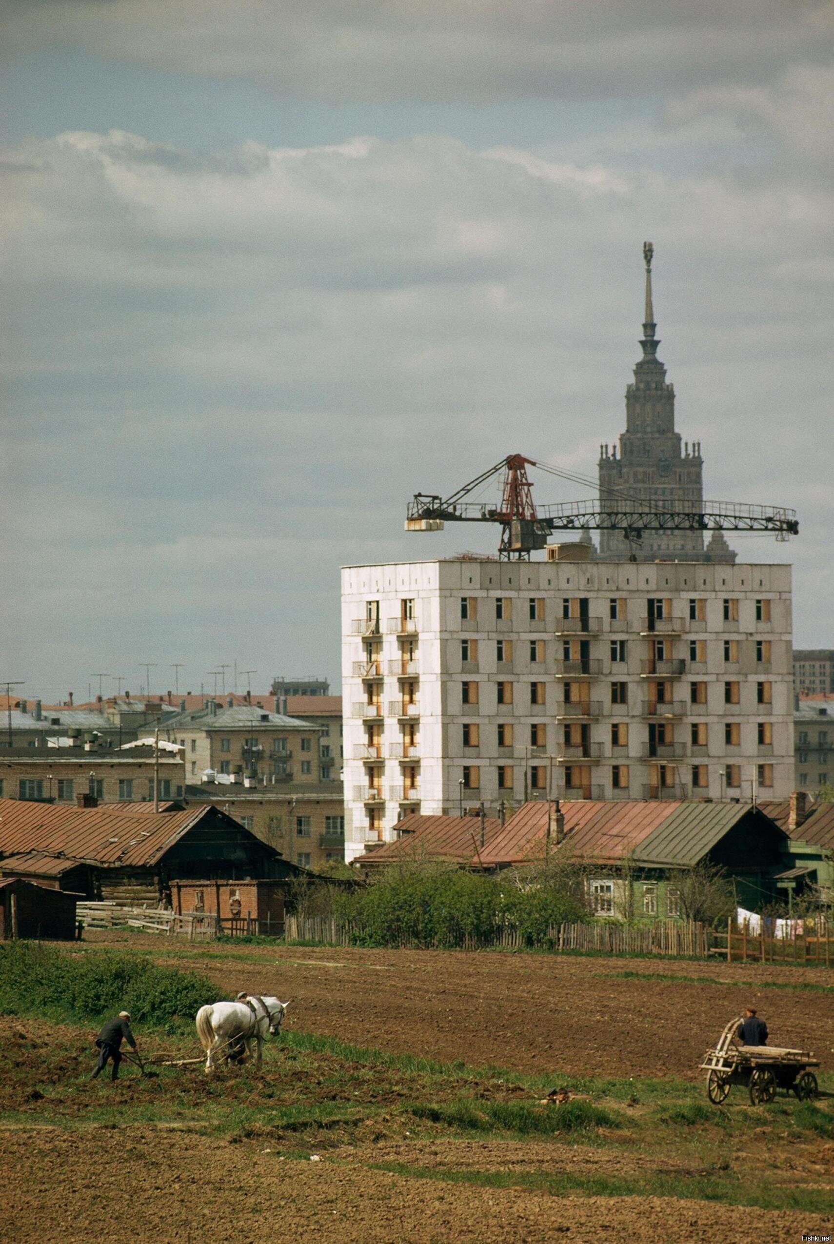 Москва 1965 год