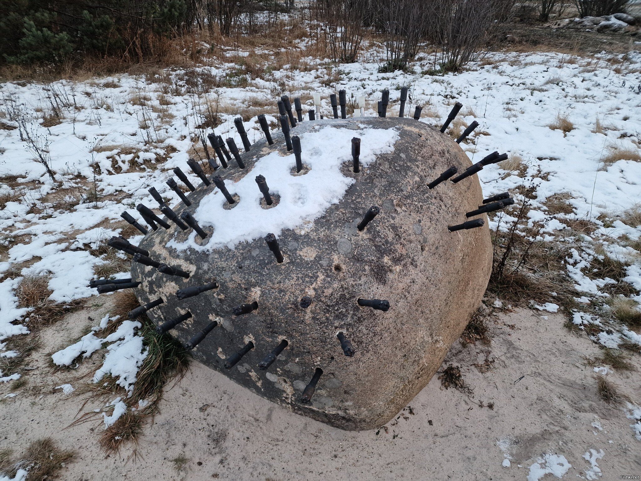 Ёжика ннада