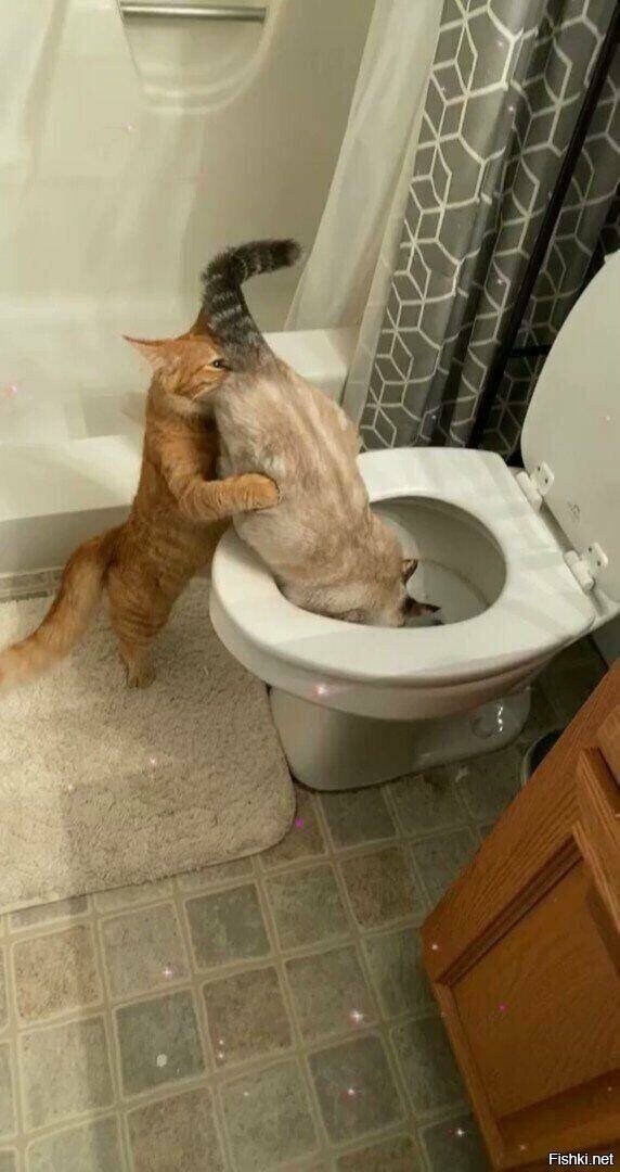 -вернись, я всё прощу