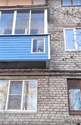 У котика свое окно