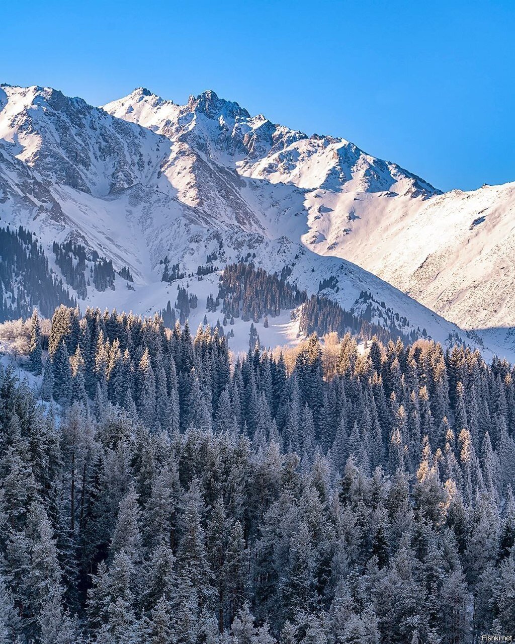 В горах  близ Алиа-Аты