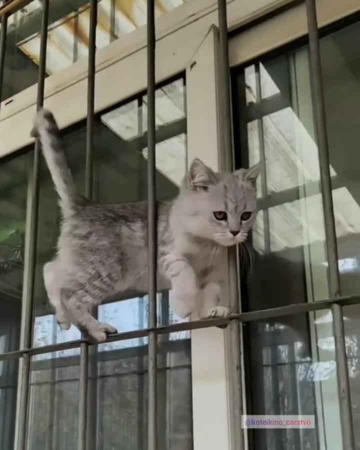 по другому не пройти)