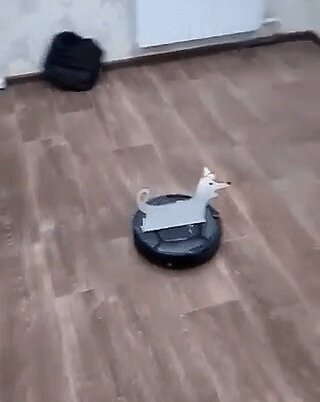 " Подарили родителям робот-пылесос