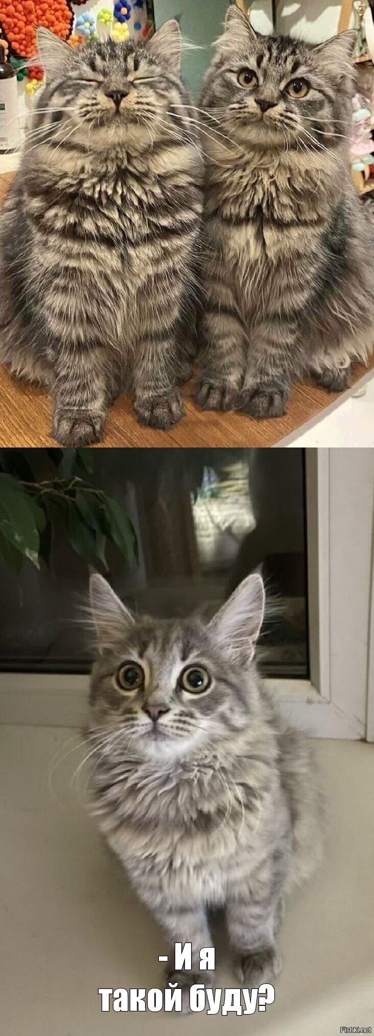 А похожи эти &quot;двое из ларца&quot; на мою малышку