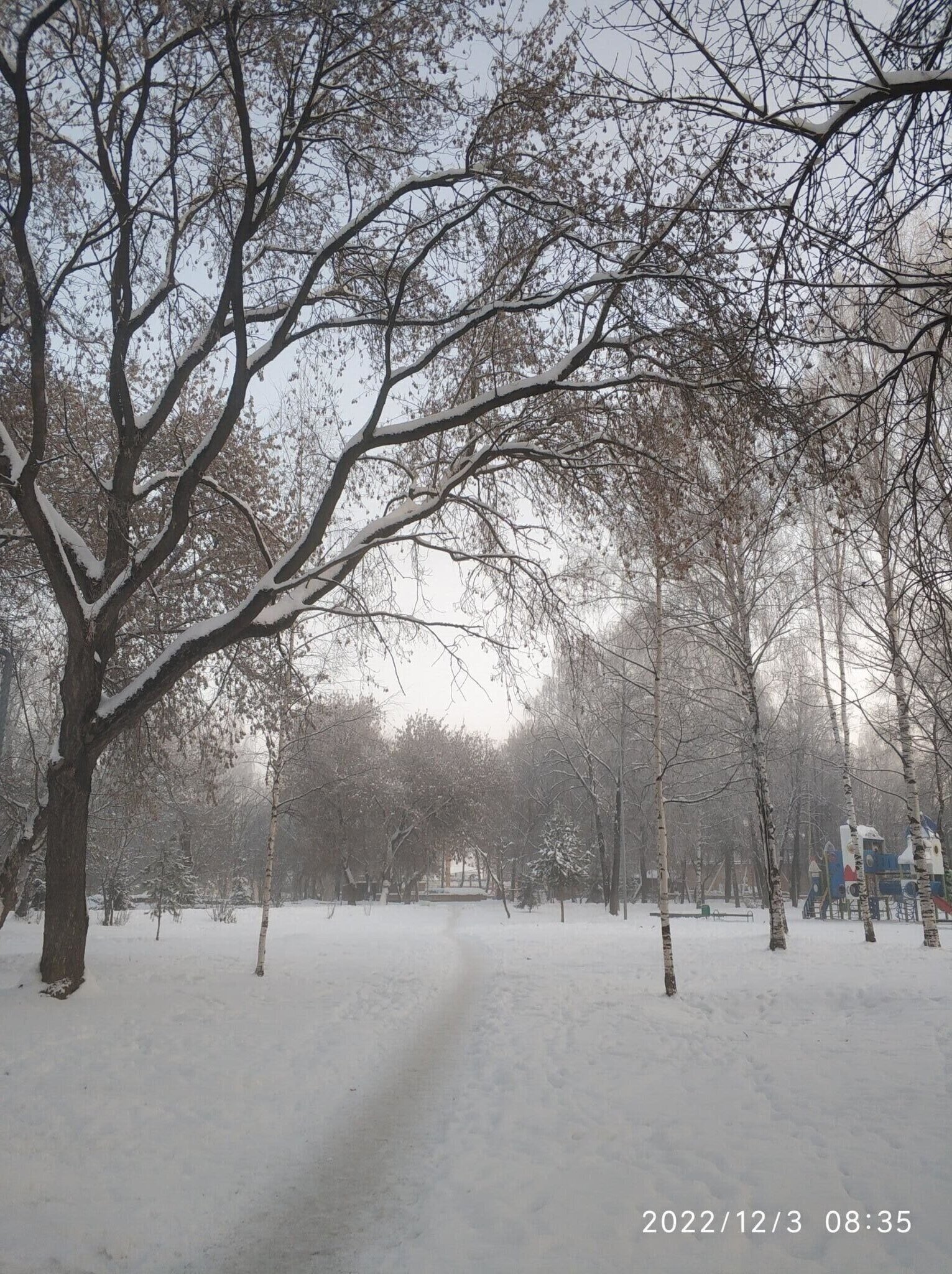 Доброе утро)