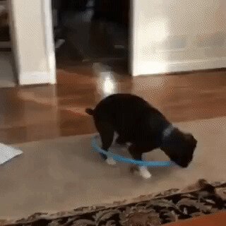 - Хозяйка, последний раз показываю, как крутить