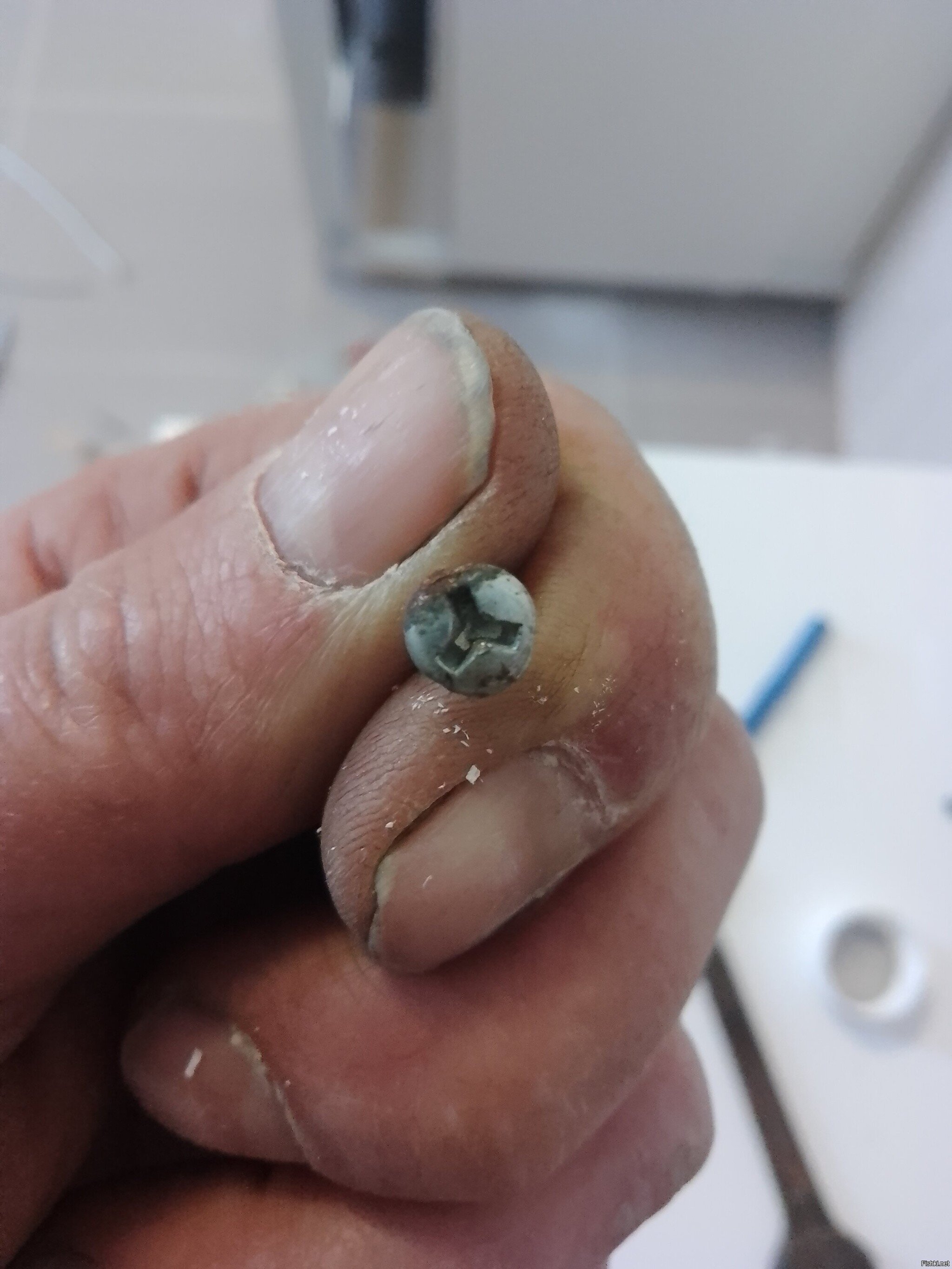 Чиво, млять