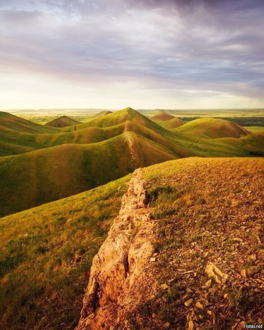 Хвост тракона