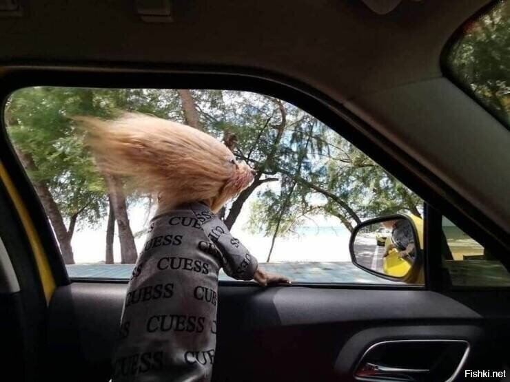 и снова понедельник