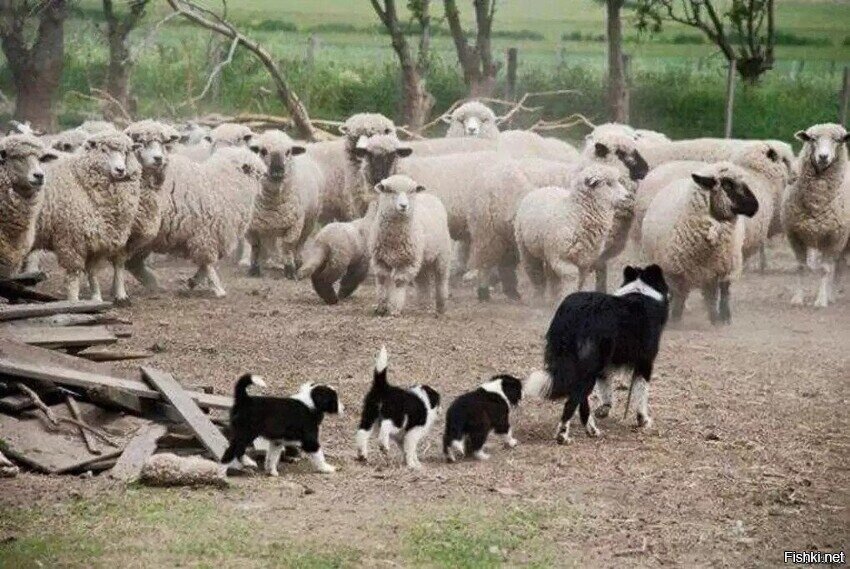 Первый день на работу