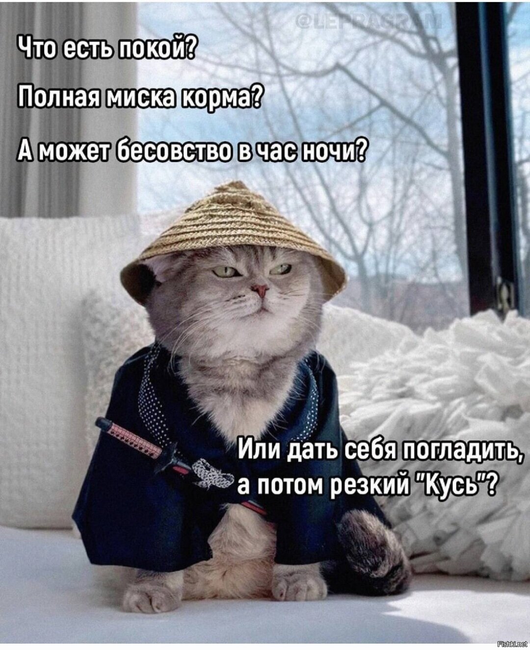 Доброе утро