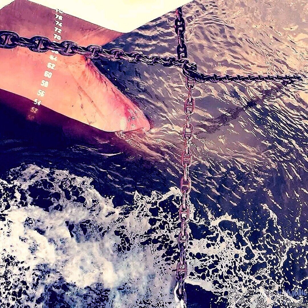 от жеж блин