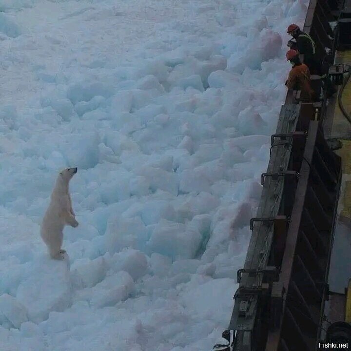 -Шеф,в Певек подбросишь
