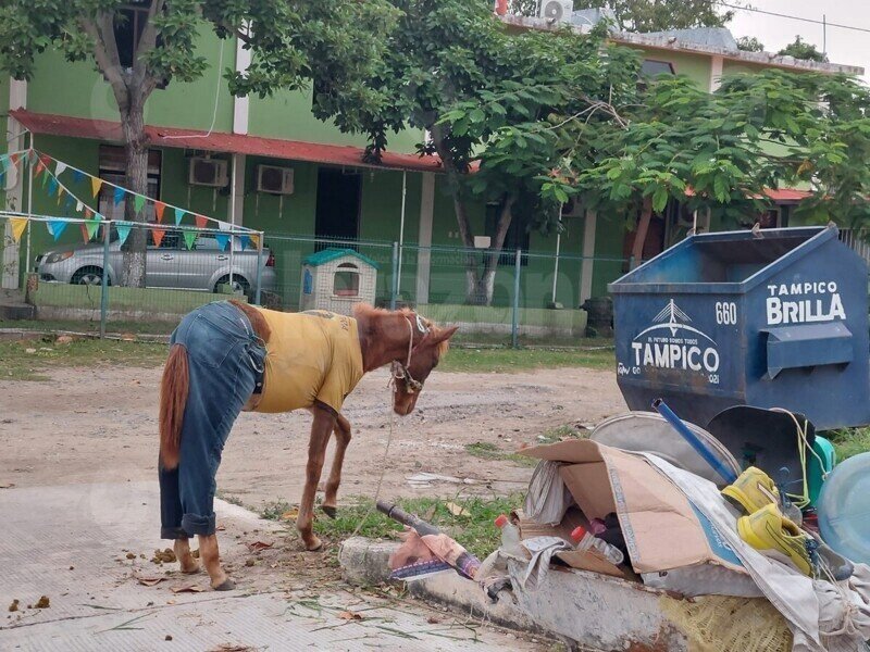 Фотоподборка