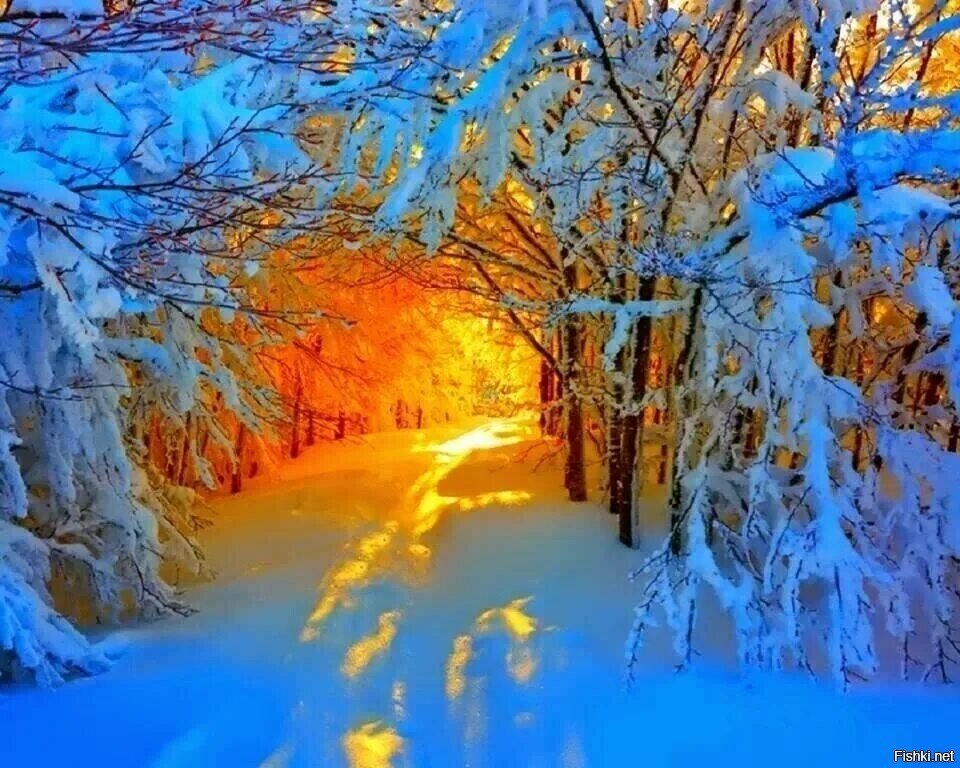 С добрым утром)