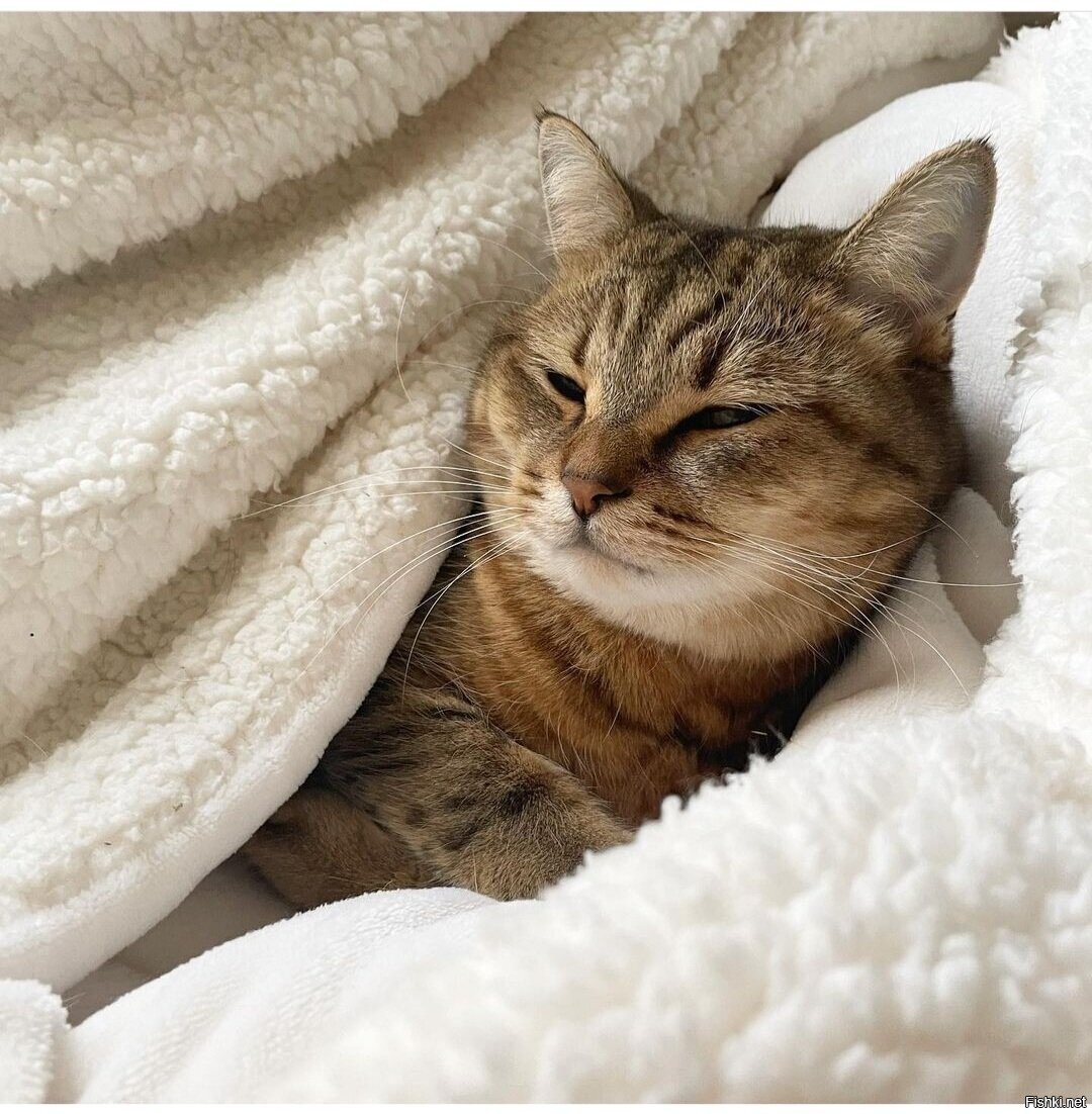 Доброе утро