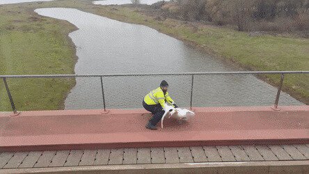 -та лети ж ты уже, ёптыть