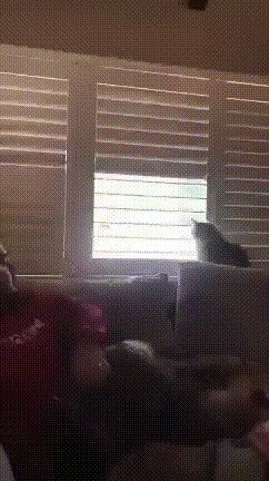 - Закрою, холодно