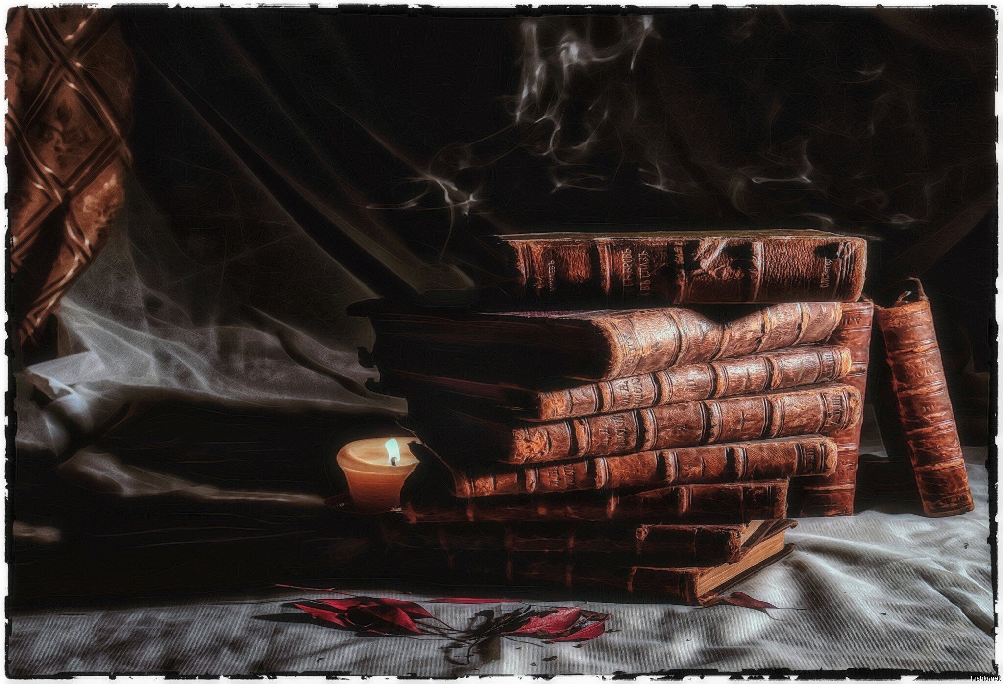 Книги из нашей семейной библиотеки