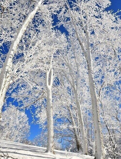 Доброе утро)