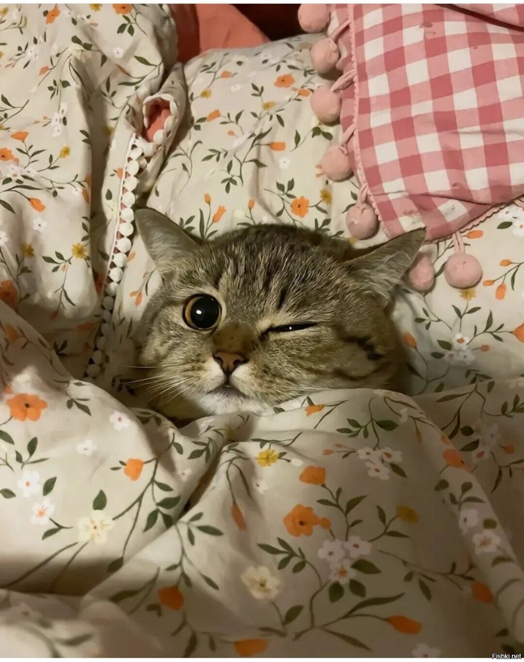 Доброе утро