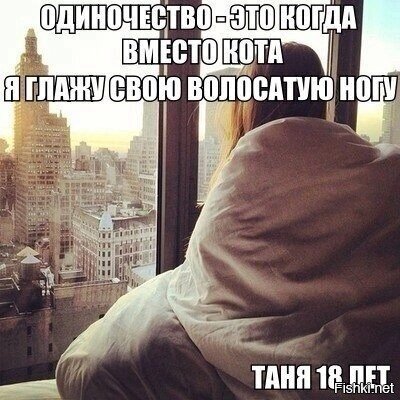 Даже коты не уживаются