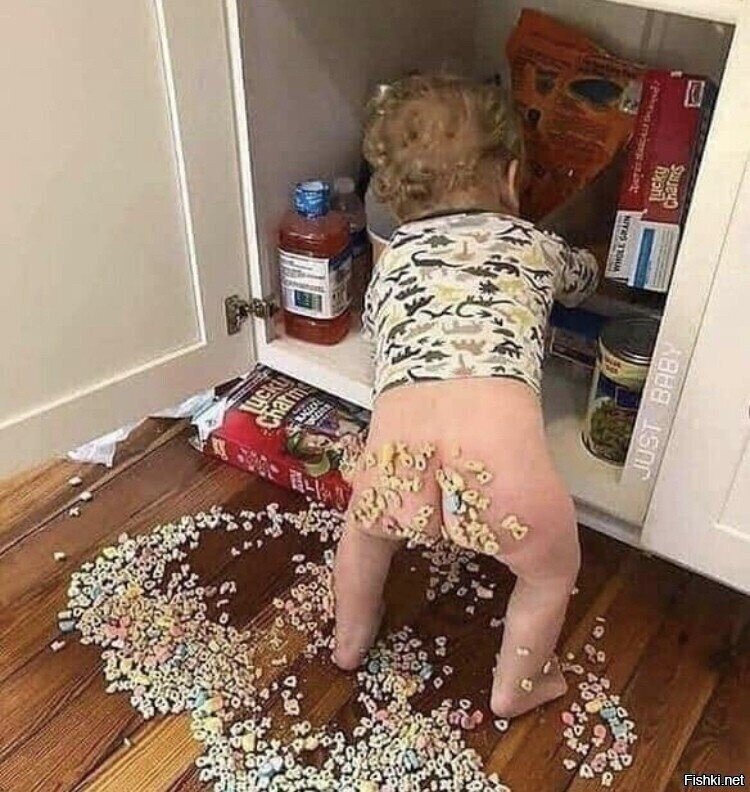 Хоть попой ешь