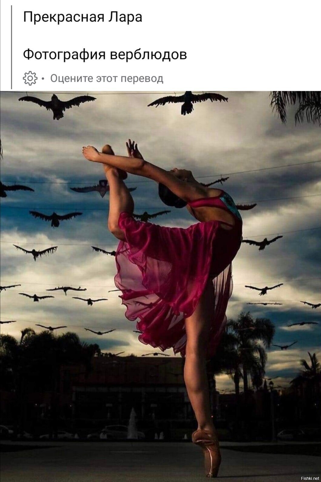 Специально заскринил с переводом