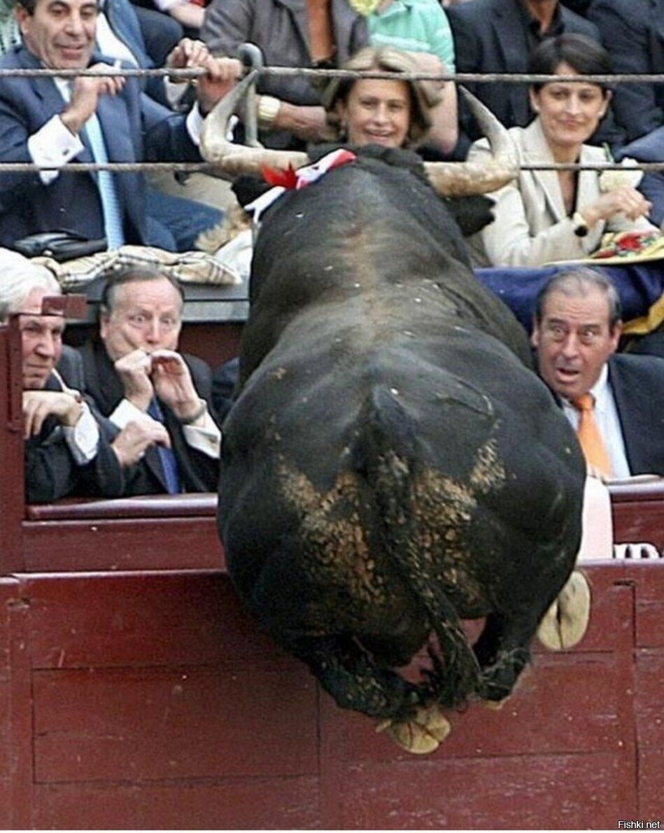 За секунду до катастрофы