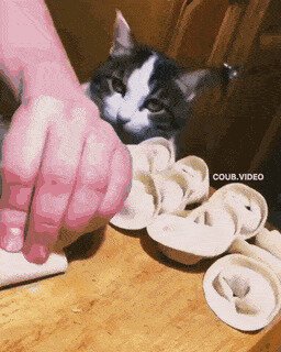 Аж лапки трясутся :)