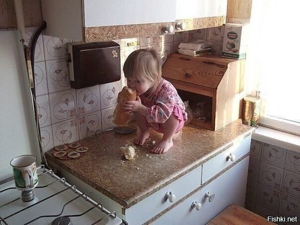 - Не дождешься этого обеда