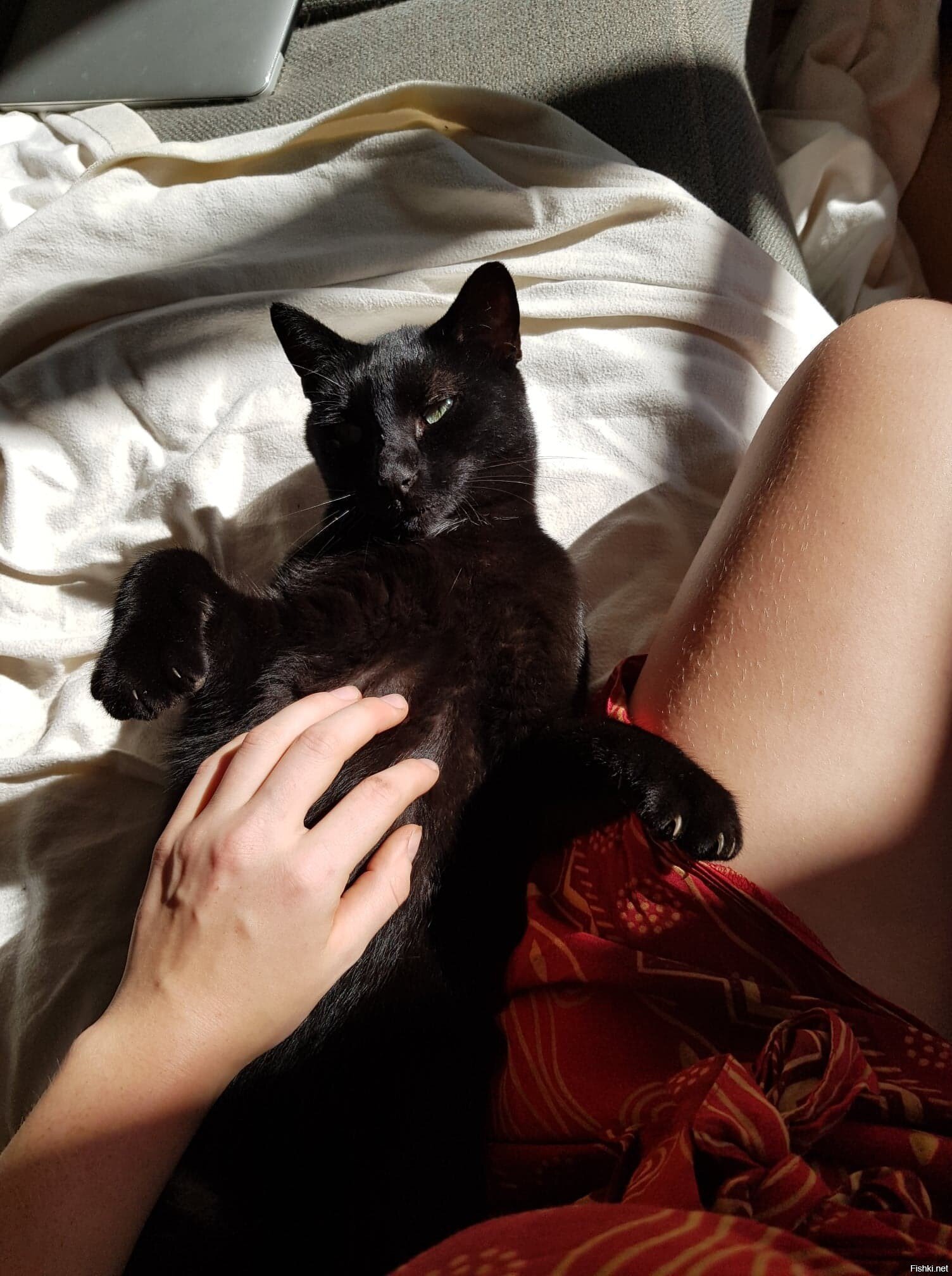 Кто по утрам не даёт нам подняться