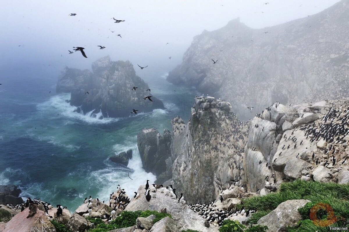 Остров Ионы в Охотском море