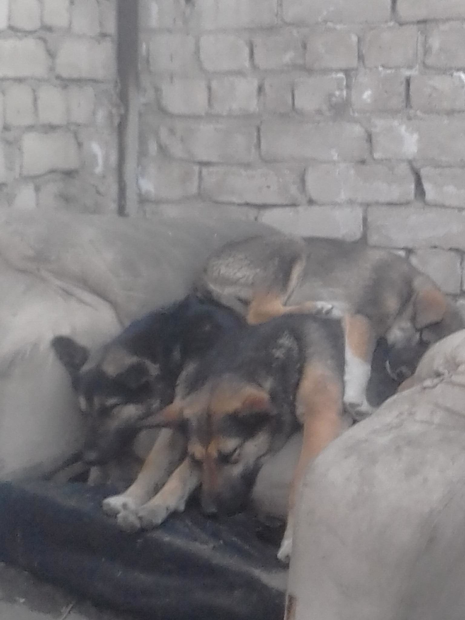 В тесноте, да не в обиде