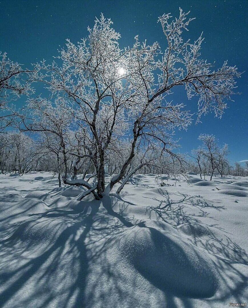Доброе утро) 