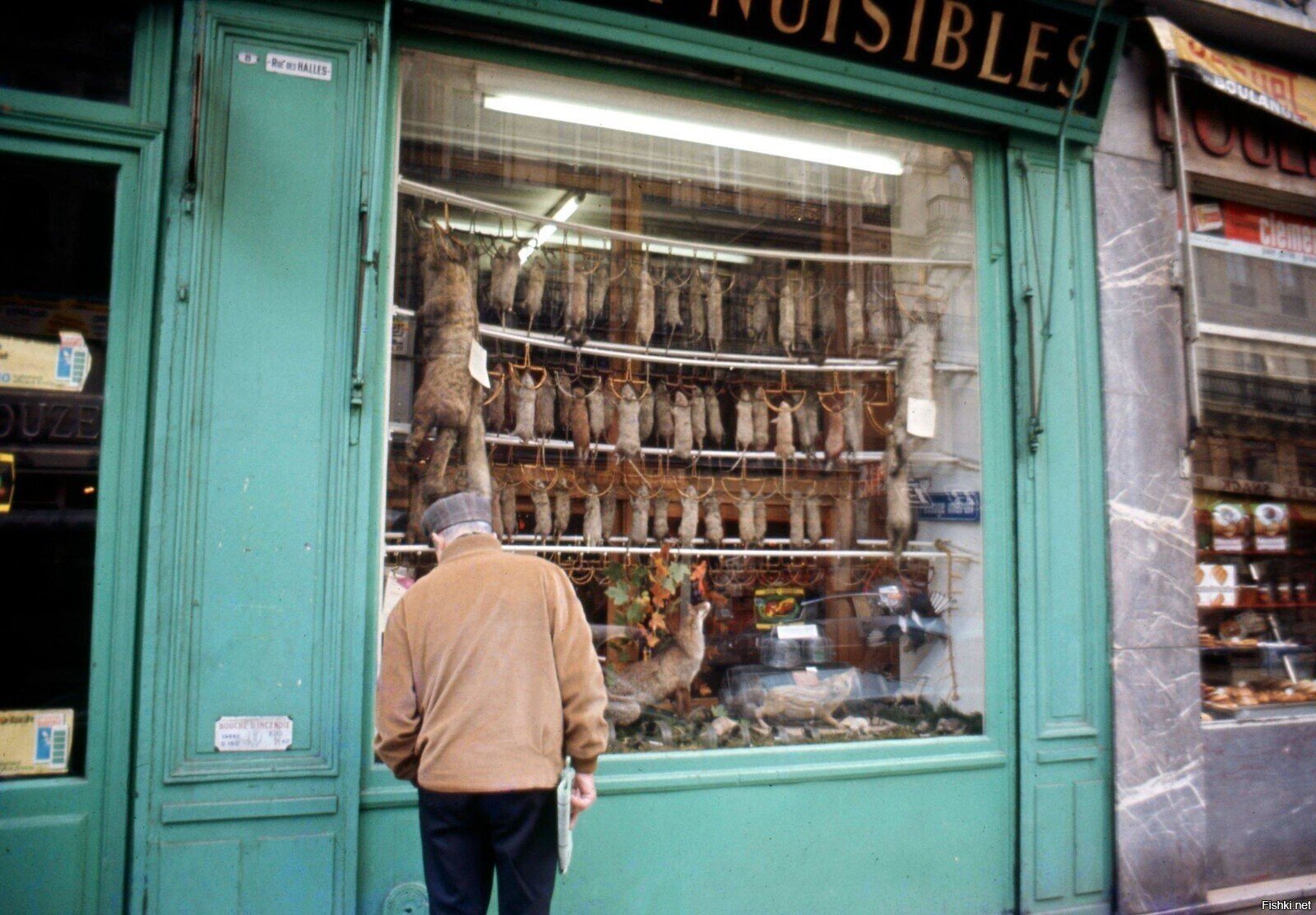 Магазин по борьбе с вредителями