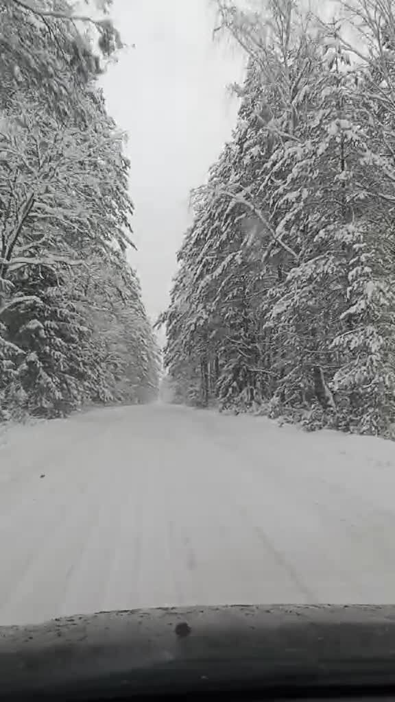 Сосед по даче заснял: